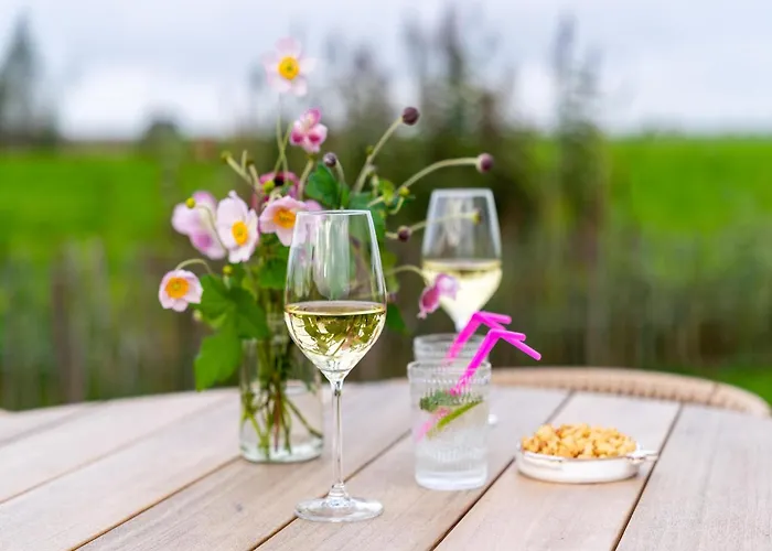 In 't Groene Hart On The Water Tatil Evi